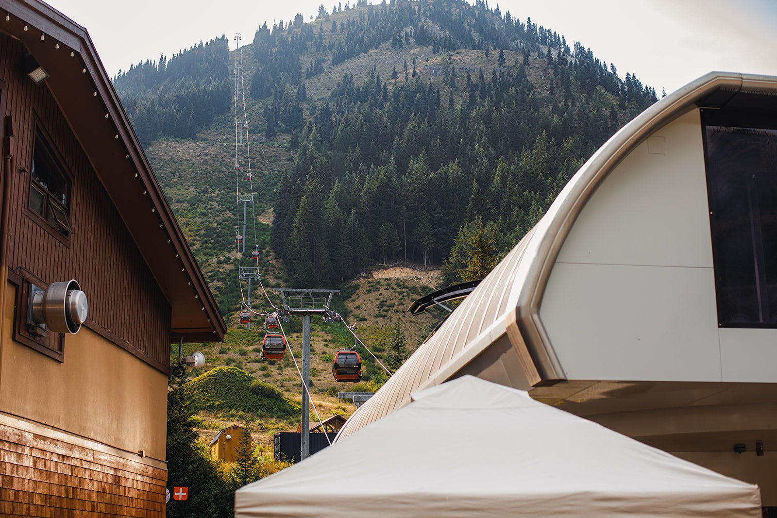 Orange Crystal Mountain gondola cabins strung on their cable up a steep green mountainside, the summit ridge and its line of firs above them