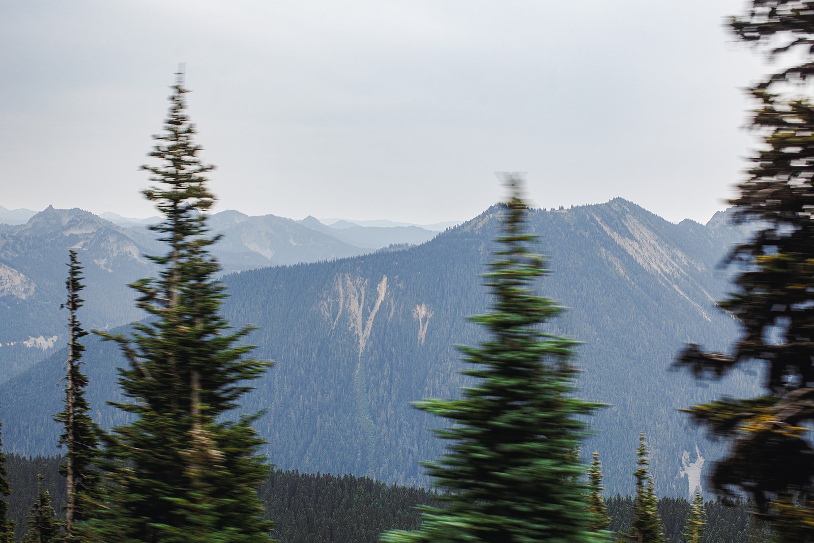 The same ridgelines shot from a moving car, the roadside firs streaked with motion and the mountains holding still behind them