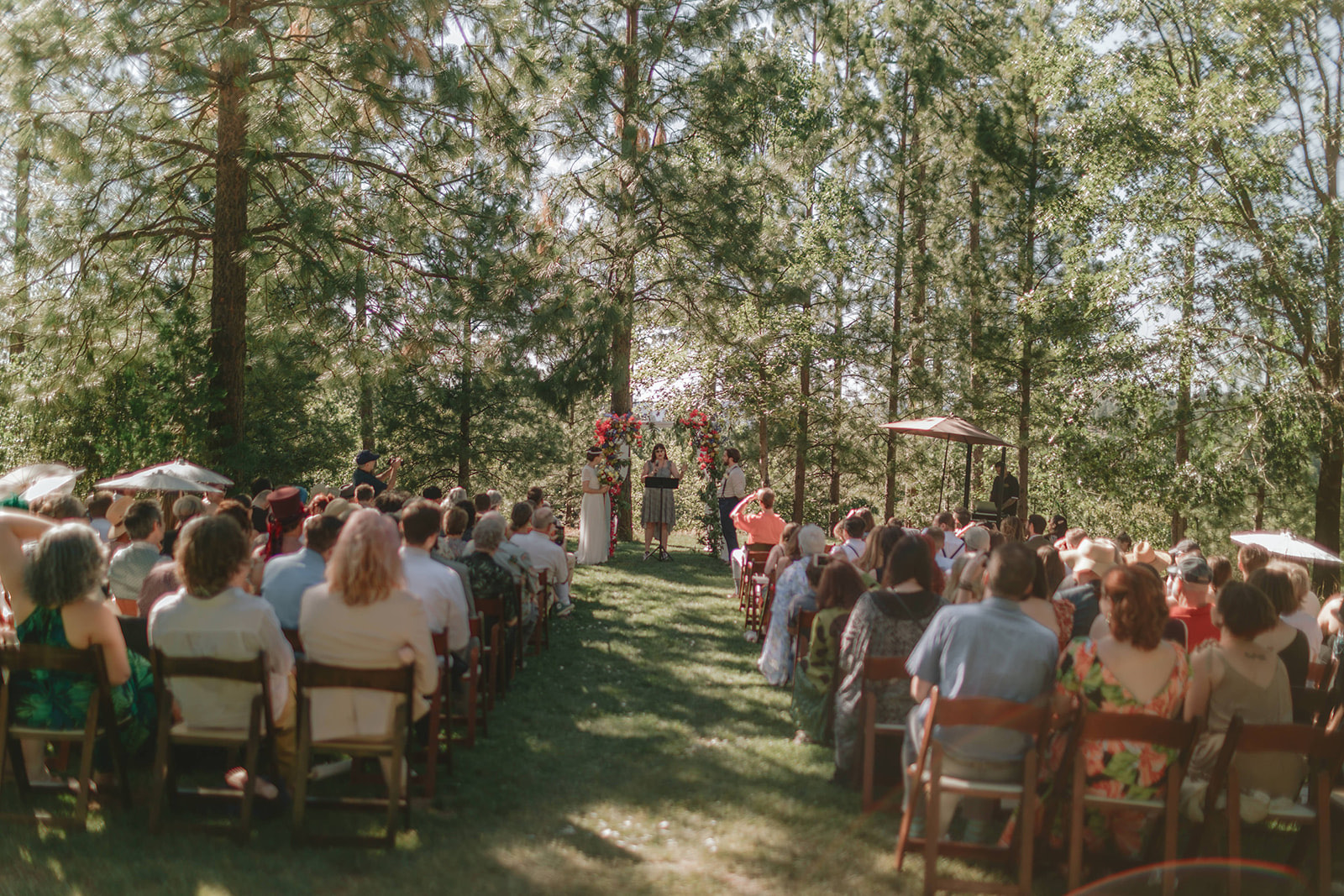 A forest ceremony in California, guests seated on either side of the aisle