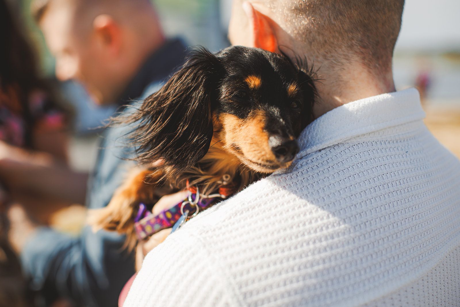 A long haired black and tan dog rests its head on the shoulder of a person in a white knit sweater, eyes half closed, with another person standing close beside them.