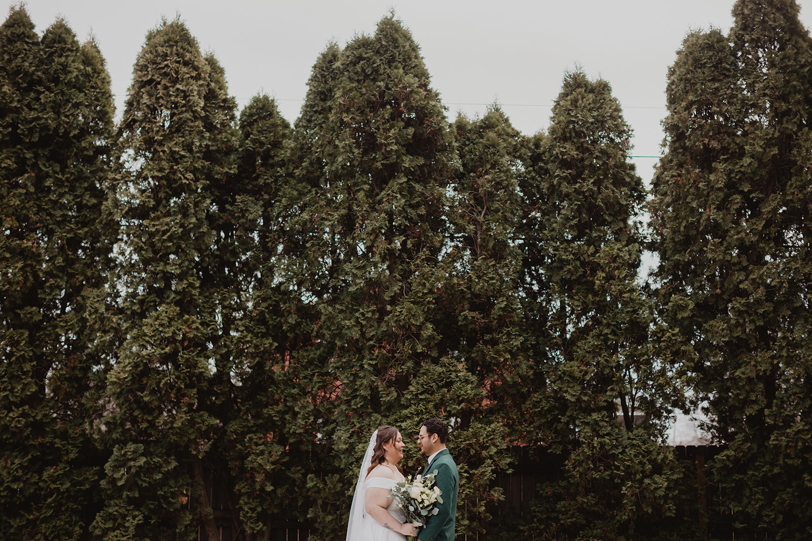 Mersades and Rogelio small in the frame beneath a tall row of evergreens, facing each other on winter grass