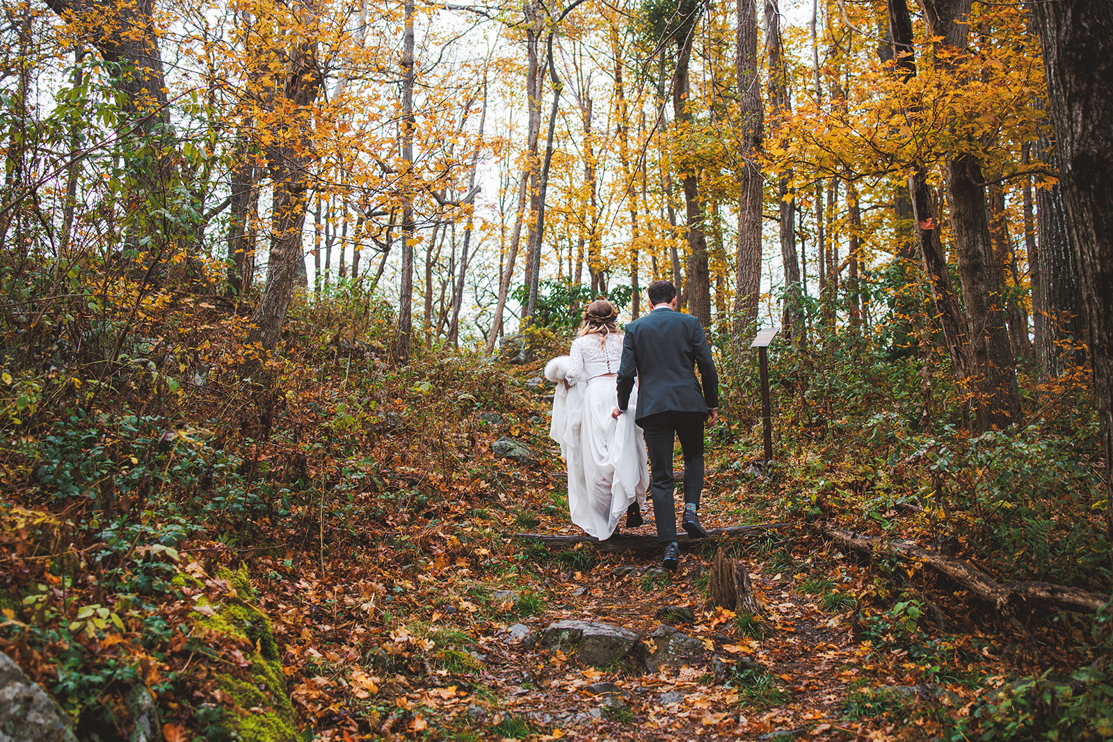 A couple in wedding clothes walking away up a narrow leaf-covered trail through bare autumn woods, gold canopy overhead and the path curving out of sight